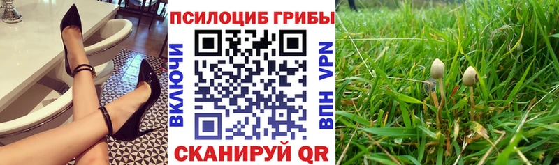 Галлюциногенные грибы ЛСД  сколько стоит  блэк спрут ссылка  Орехово-Зуево 